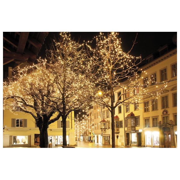 Showtec LED Rubber Curtain Light WW