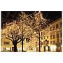 Showtec LED Rubber Curtain Light WW